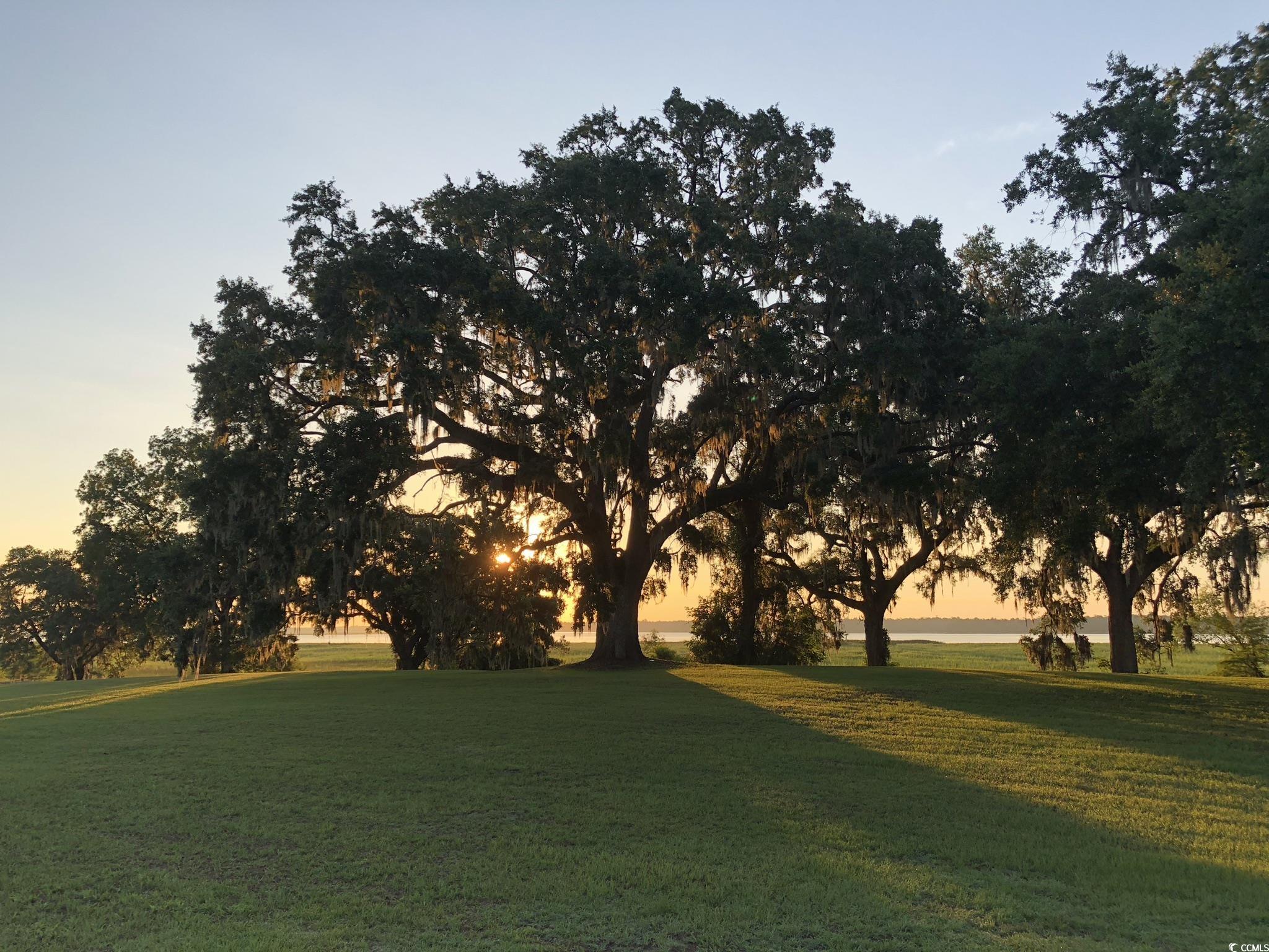 655 Millbrook Road Georgetown, SC 29440 - Photo 6 of 21 View of property's community with a yard