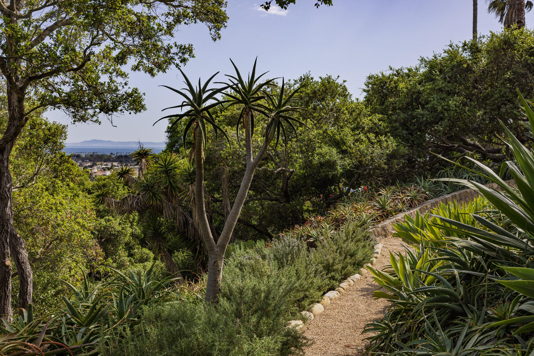 1010 Garcia Road Santa Barbara, CA 93103 - Photo 27 of 30 paths thru the 1 acre