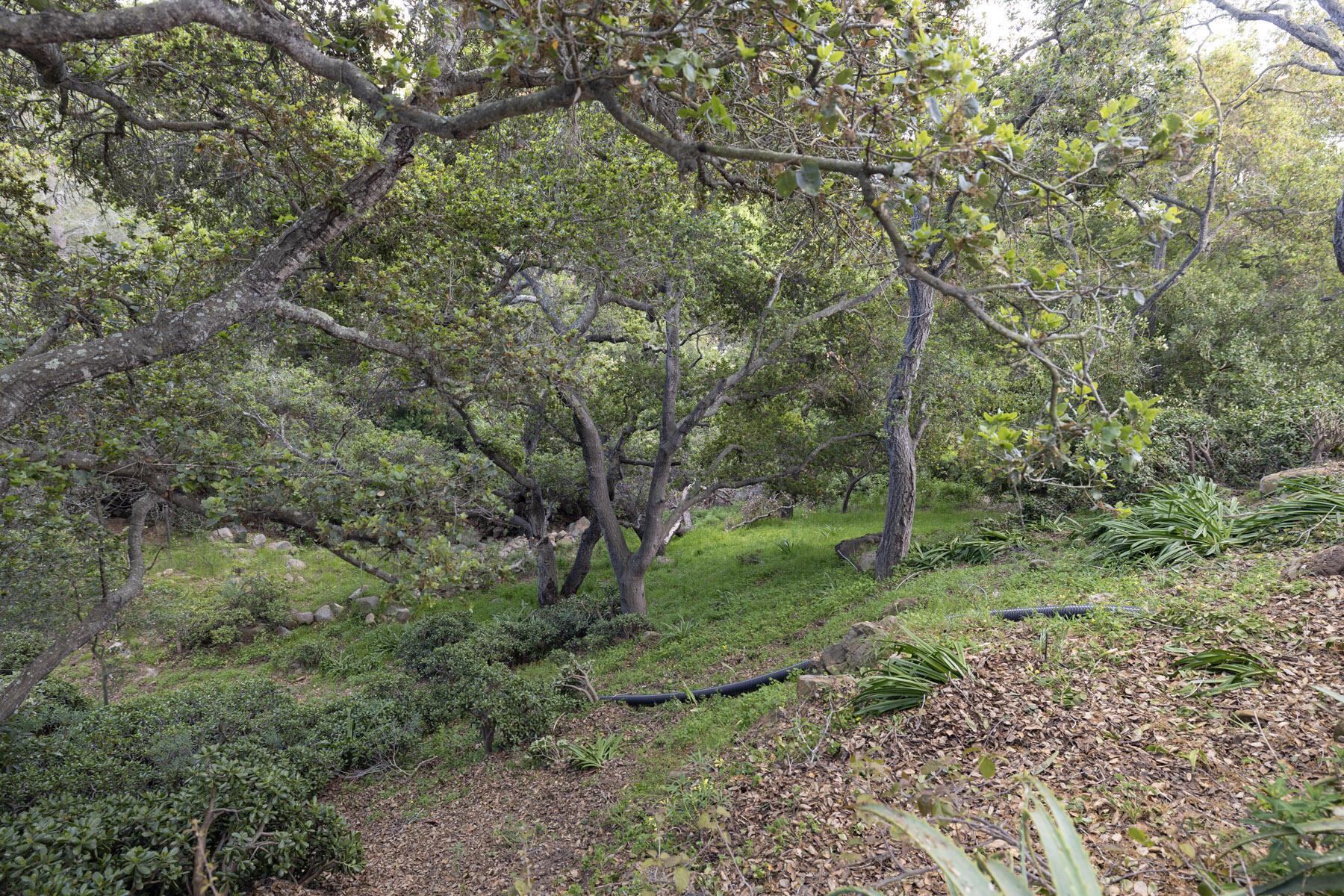 1010 Garcia Road Santa Barbara, CA 93103 - Photo 28 of 30 Barranca