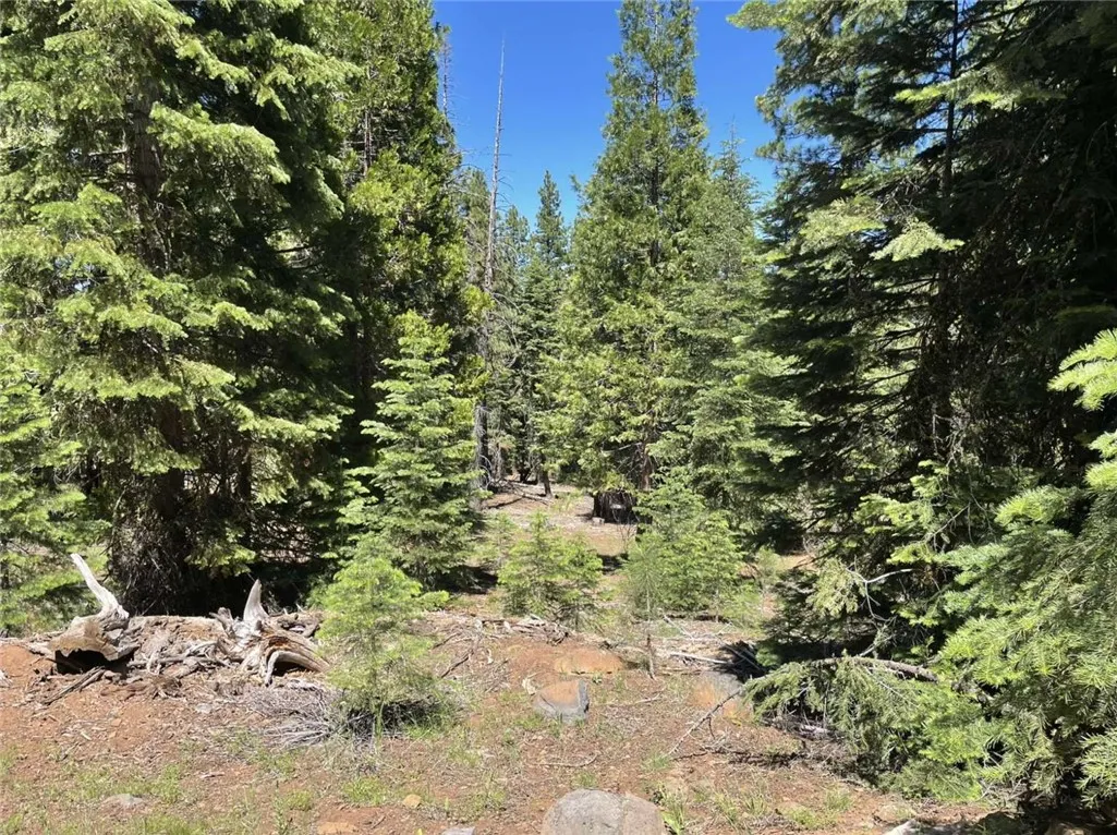 0 Range Alturas, CA 96101 - Photo 18 of 39 Gallery Image 18