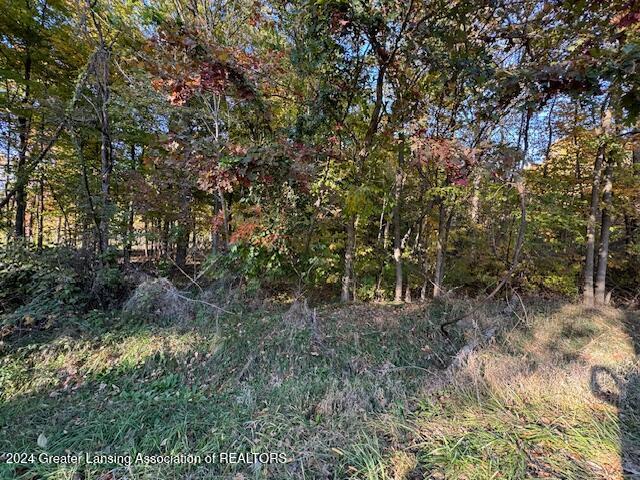 1680 West Stoll Road Dewitt, MI 48820 - Photo 6 of 10 IMG_5459