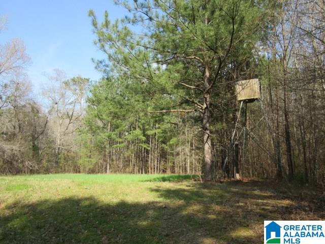 229 County Road, Unit 29 Thorsby, AL 35171 - Photo 6 of 23