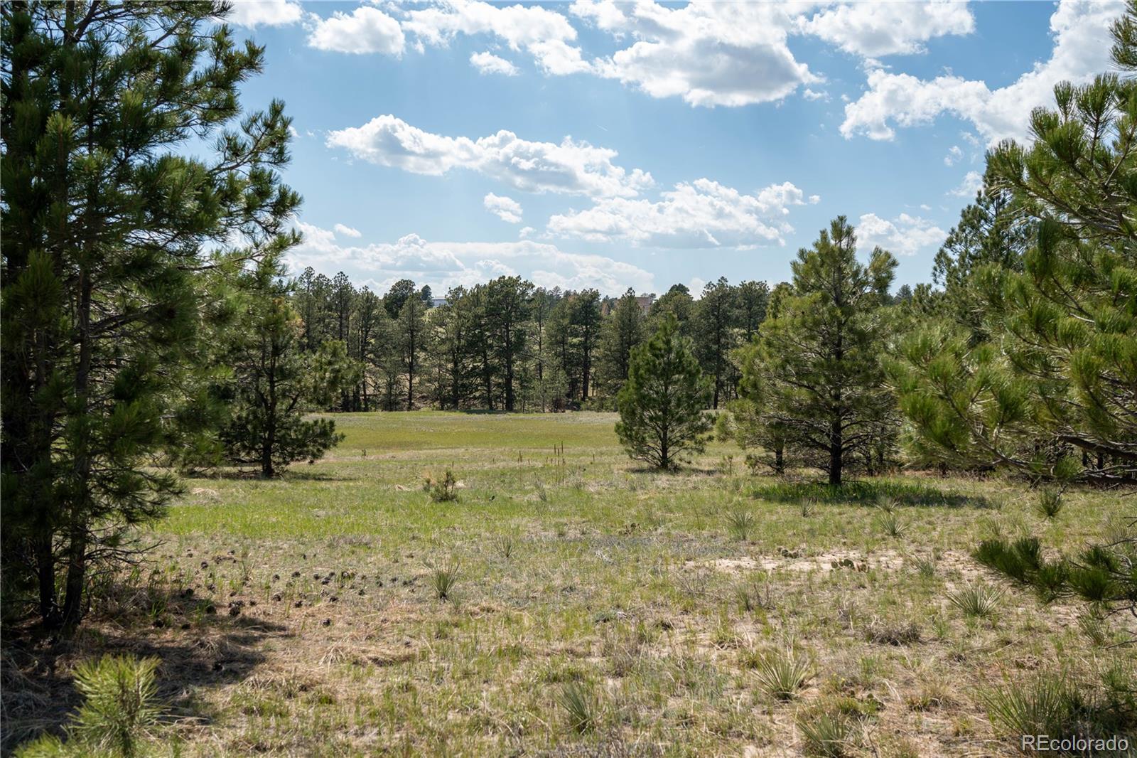 Tbd-2 Paradise Circle Elizabeth, CO 80107 - Photo 5 of 16