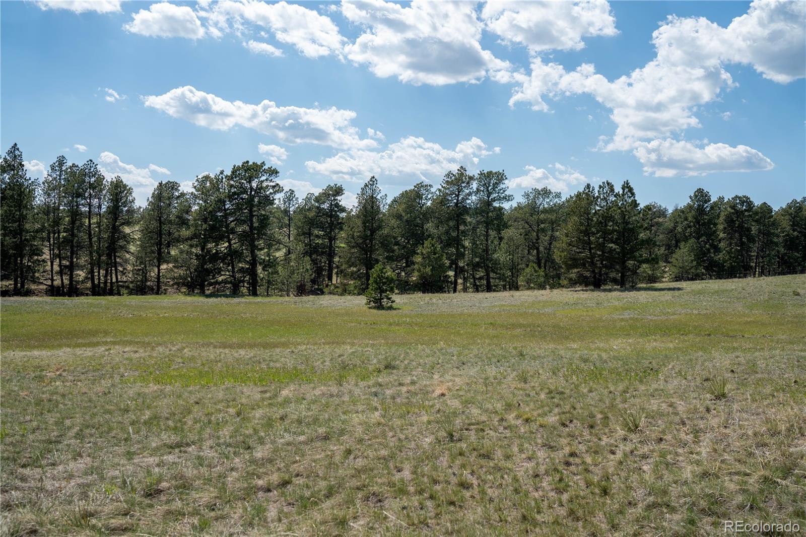 Tbd-2 Paradise Circle Elizabeth, CO 80107 - Photo 6 of 16