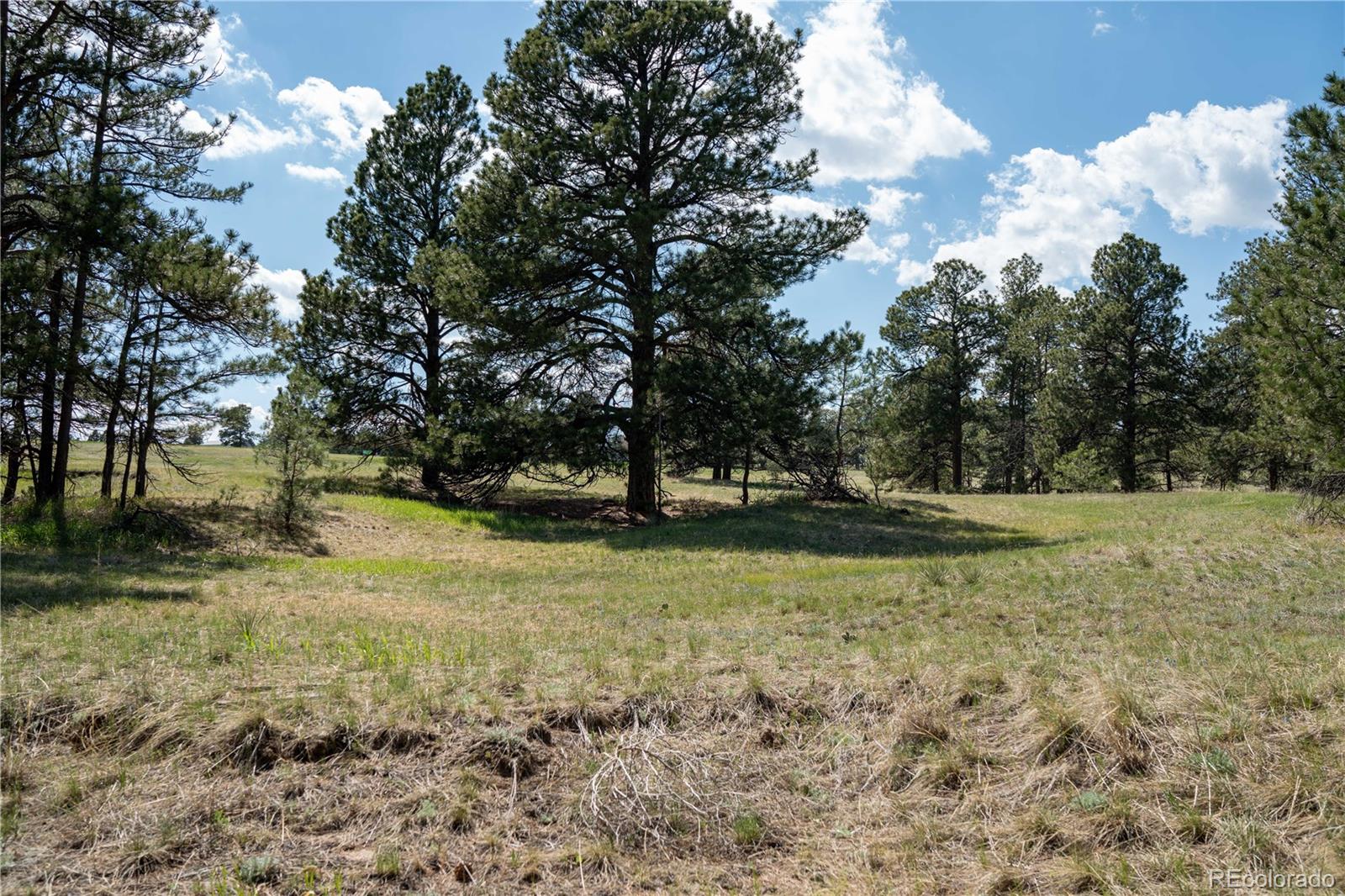 Tbd-2 Paradise Circle Elizabeth, CO 80107 - Photo 8 of 16