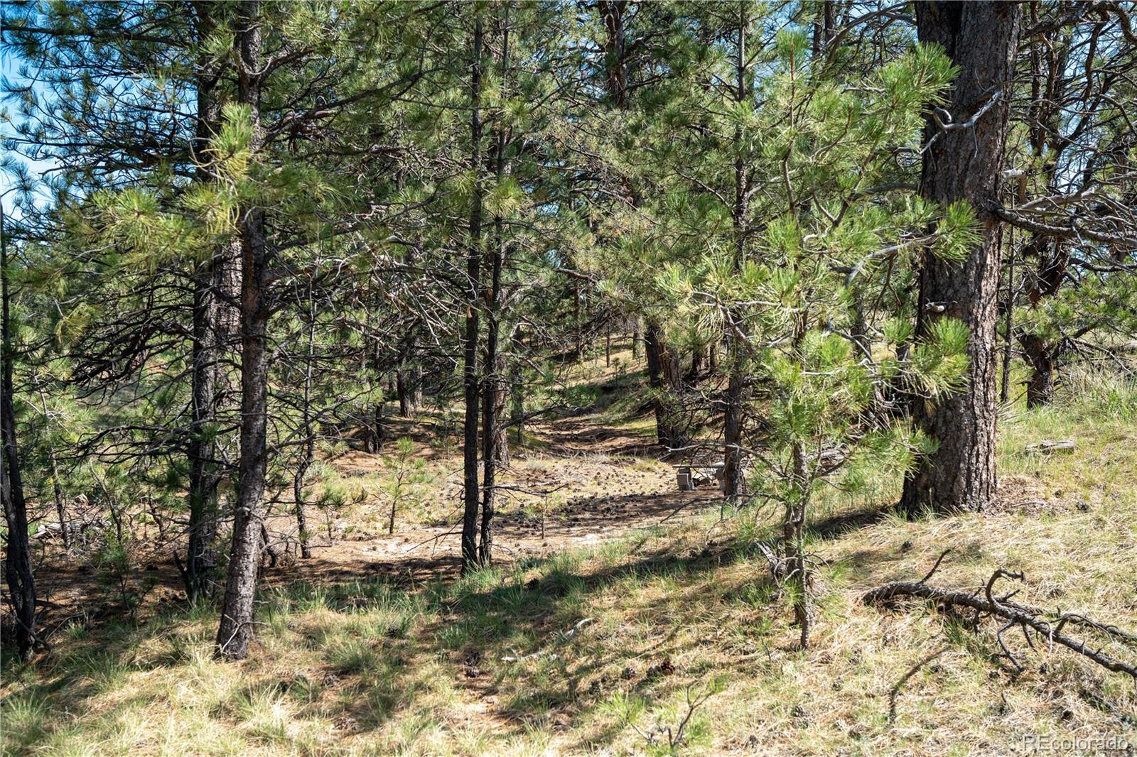 Tbd-2 Paradise Circle Elizabeth, CO 80107 - Photo 9 of 16