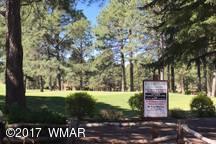 4539 Resort Loop, Unit 9A UPPER Pinetop, AZ 85935 - Photo 25 of 28