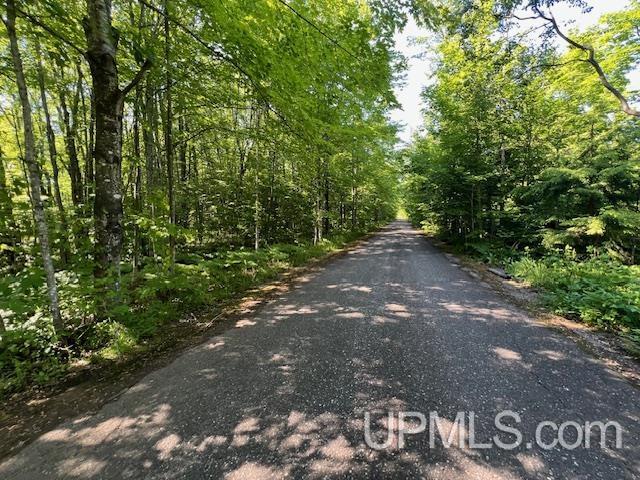 11.6 Acres Off Remington Road Marquette, MI 49855 - Photo 14 of 39
