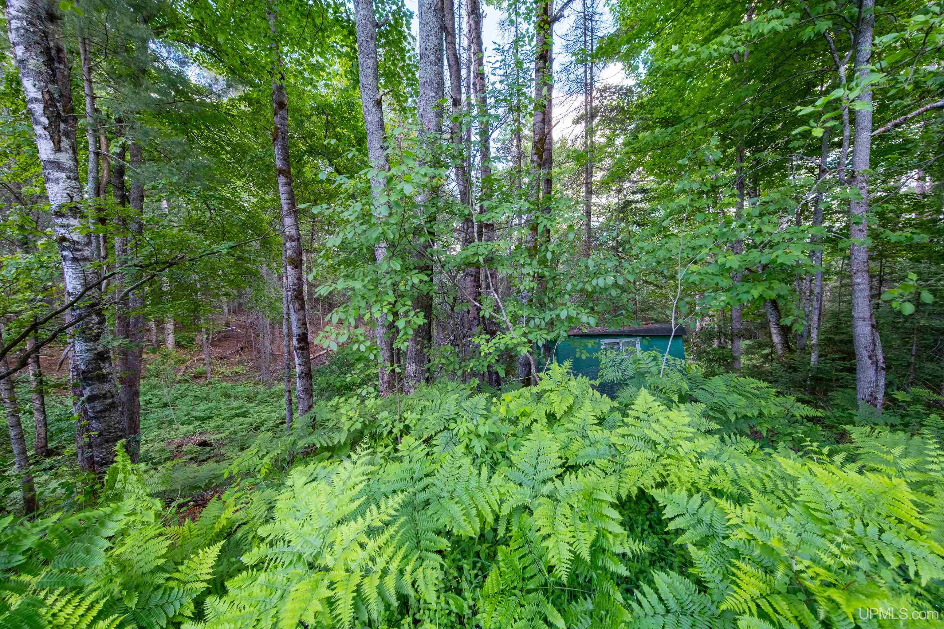 2813 Highway 41 Ishpeming, MI 49849 - Photo 62 of 62