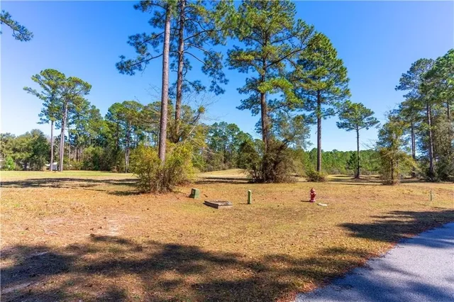 $45,500 | Xx Sapelo Pk Drive Northeast, Townsend, GA 31331