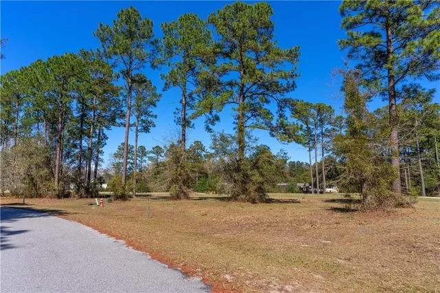 $45,500 | Xx Sapelo Pk Drive Northeast, Townsend, GA 31331