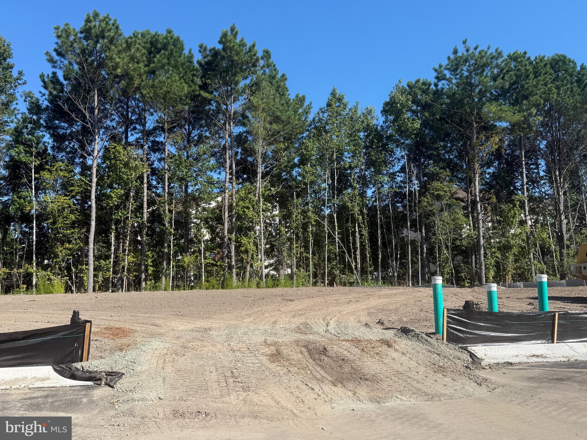 36016 Jackson Street Ocean View, DE 19970 - Photo 5 of 7 a view of outdoor space with trees