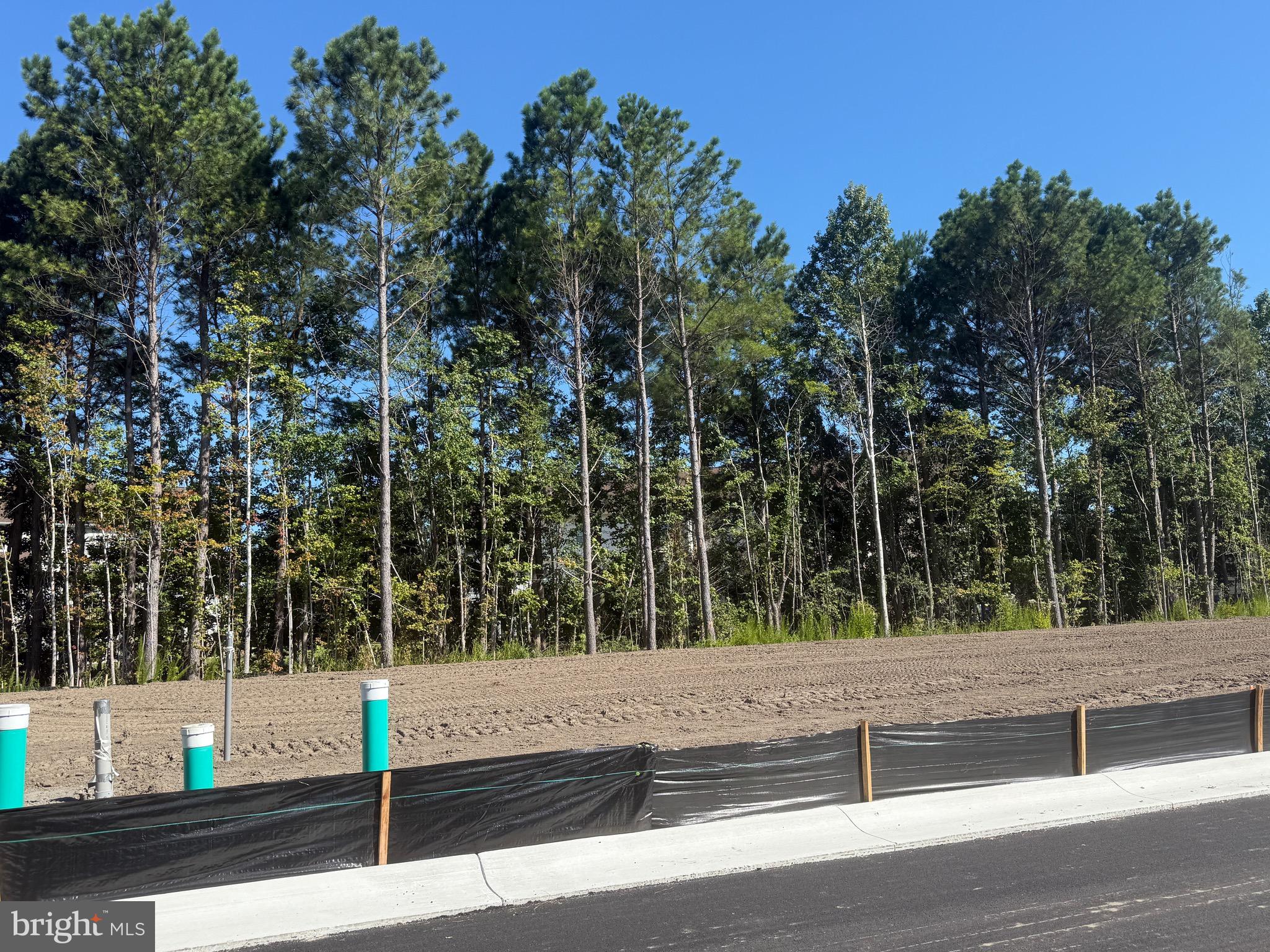36016 Jackson Street Ocean View, DE 19970 - Photo 6 of 7 a view of a yard
