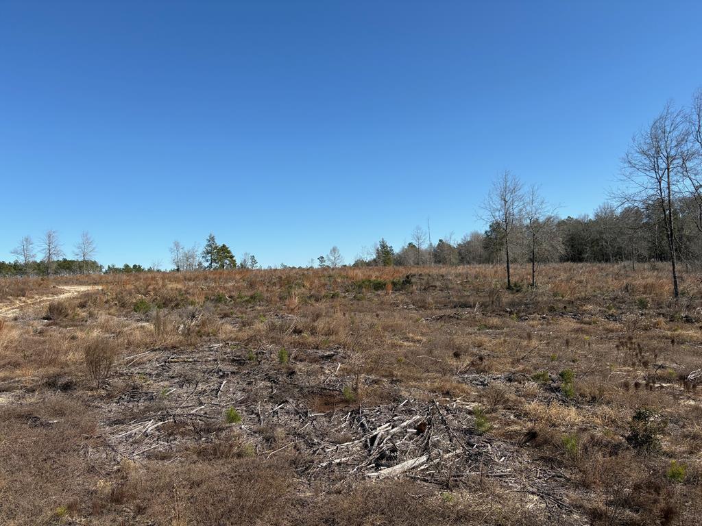 87 Samson Al Samson, AL 36477 - Photo 12 of 22 Parcel "F" east view