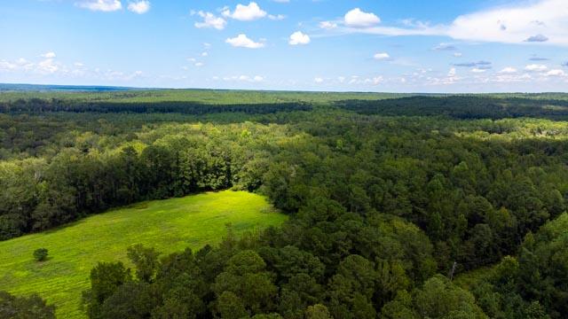 220 Destiny Lane Aiken, SC 29805 - Photo 27 of 32 DJI_0713