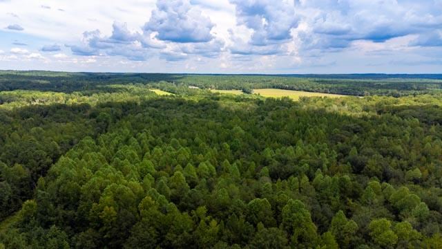 220 Destiny Lane Aiken, SC 29805 - Photo 28 of 32 DJI_0714