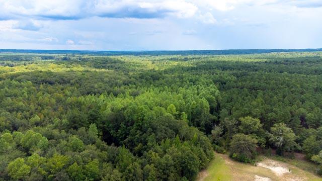 220 Destiny Lane Aiken, SC 29805 - Photo 29 of 32 DJI_0715