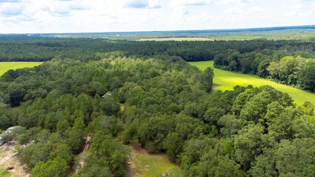 220 Destiny Lane Aiken, SC 29805 - Photo 31 of 32 DJI_0718