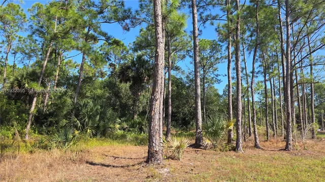 $41,000 | 645 South Jasmine Street, Clewiston, FL 33440