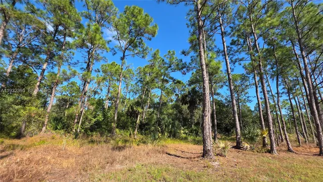 $41,000 | 645 South Jasmine Street, Clewiston, FL 33440