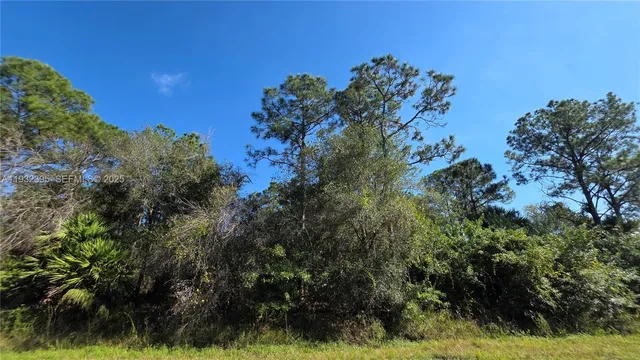 $41,000 | 645 South Jasmine Street, Clewiston, FL 33440