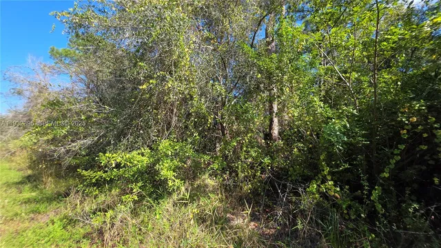 $41,000 | 645 South Jasmine Street, Clewiston, FL 33440