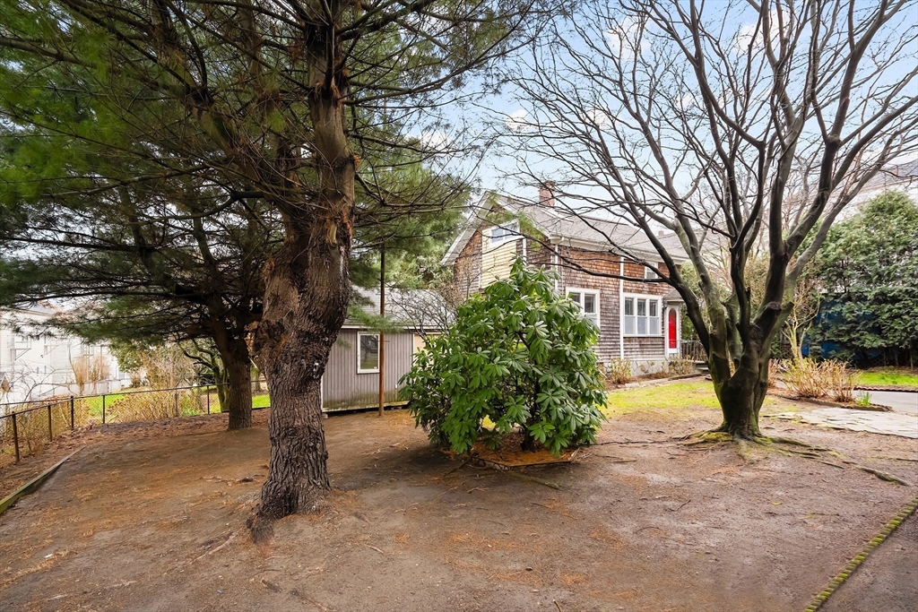 572 William Street Fall River, MA 02721 - Photo 4 of 31 a view of a tree in the middle of a yard