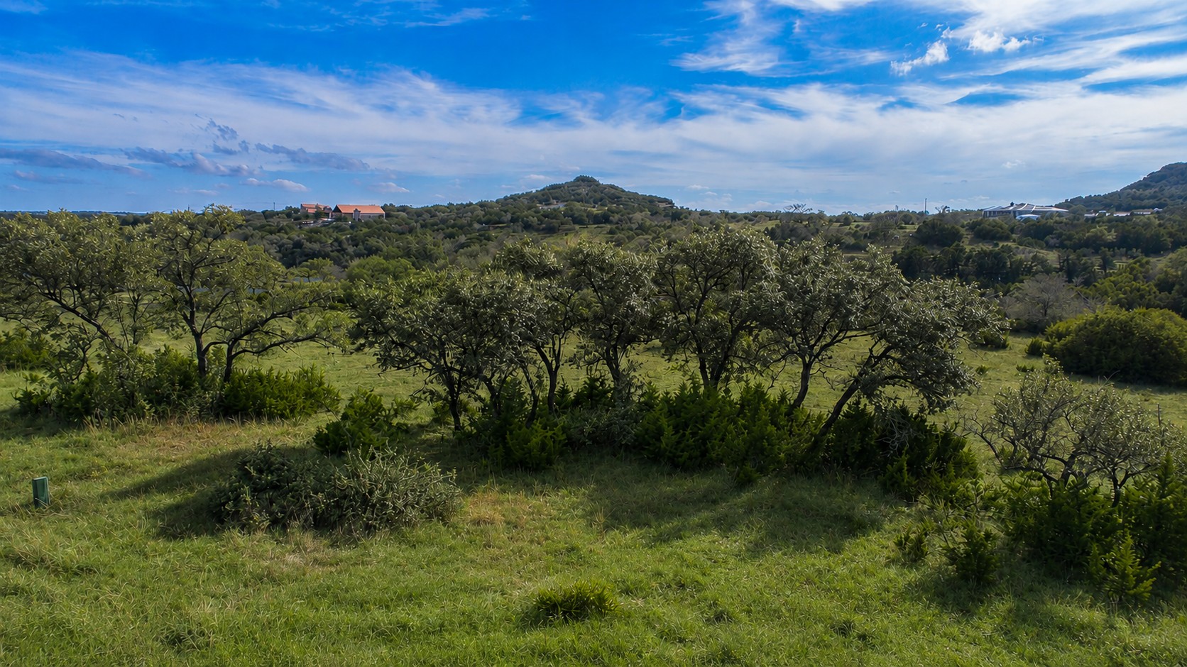 717 Bluff Ridge Trail Blanco, TX 78606 - Photo 2 of 21 Green pastures and lush trees extend to distant hills, offering an inviting natural landscape.