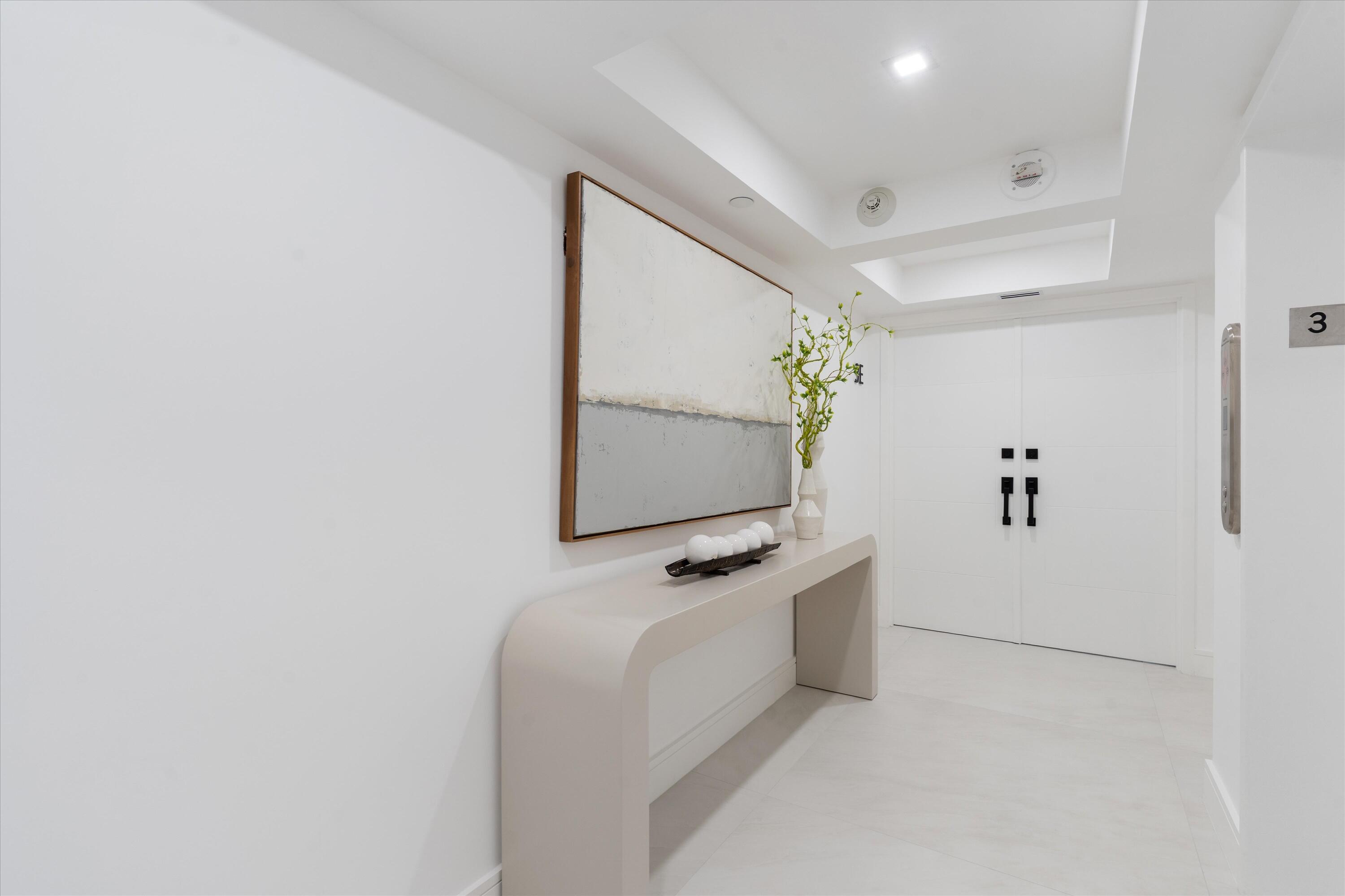 250 South Ocean Boulevard, Unit 3E & 3F Boca Raton, FL 33432 - Photo 34 of 46 a picture of wall painting