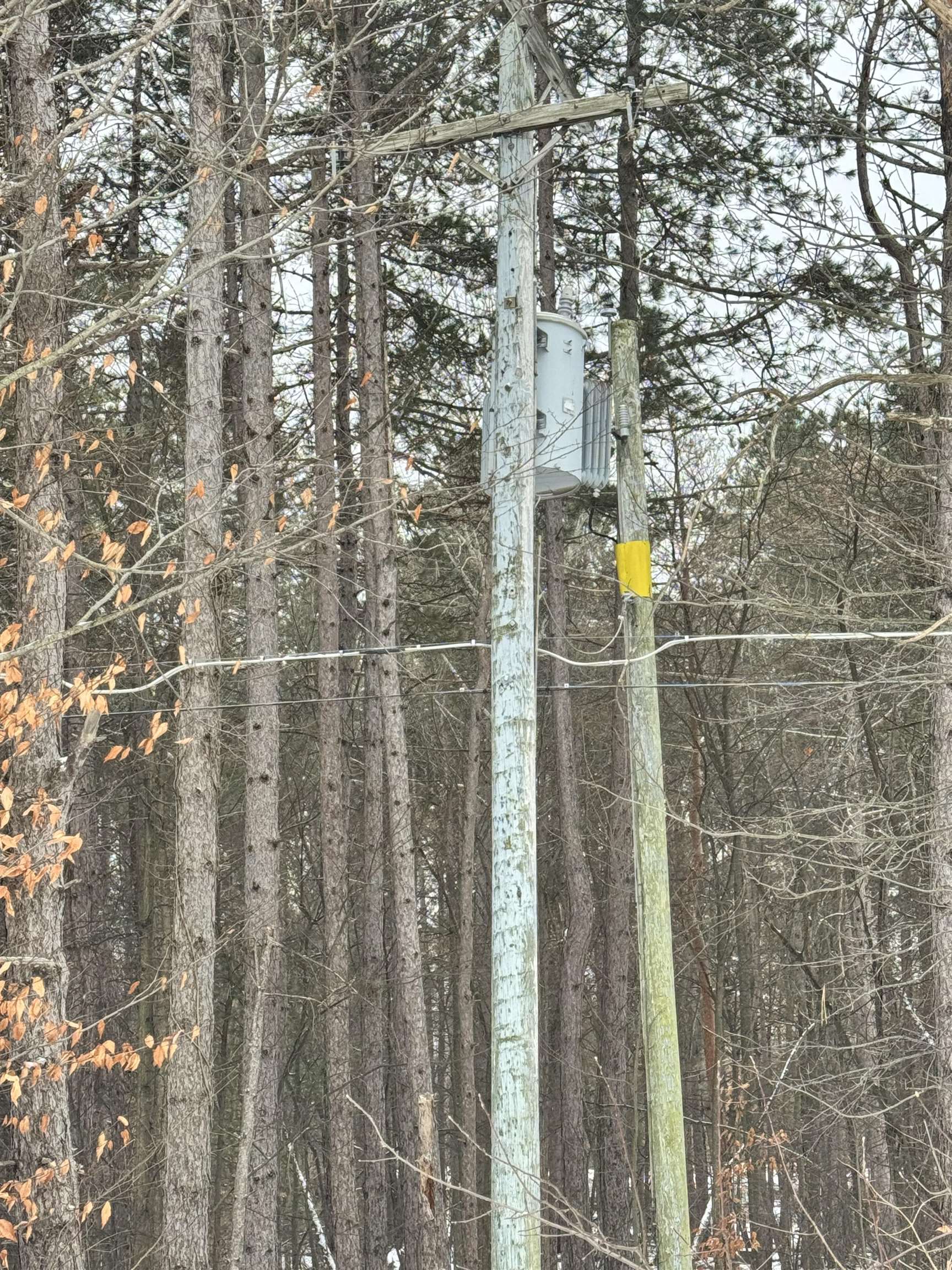 V/l West Caro Road Caro, MI 48723 - Photo 6 of 12