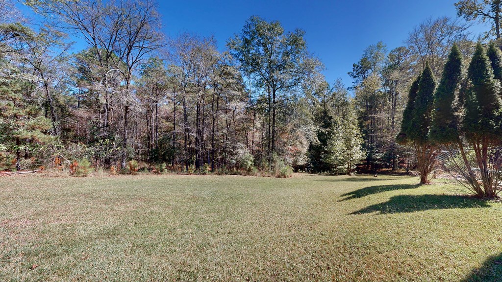 4040 Wooldridge Road Fortson, GA 31808 - Photo 75 of 85 Yard