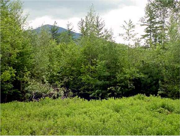 ----- Wells Road Franconia, NH 03580 - Photo 1 of 3