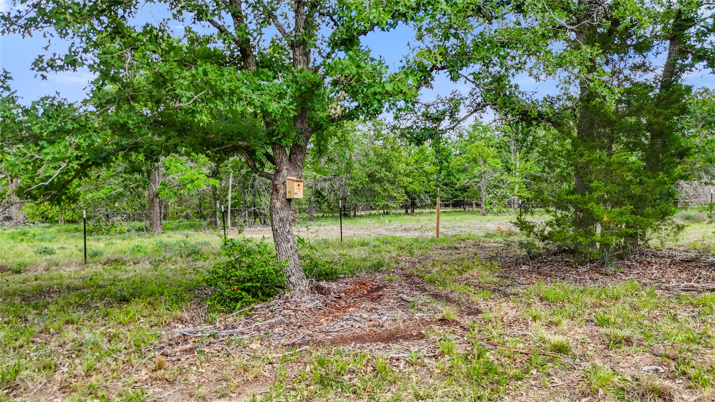 5837 FM 180 Road Ledbetter, TX 78946 - Photo 13 of 16 Birdhouses/duck houses are scattered around the property, adding charm but also keeping in compliance with wildlife exemption.