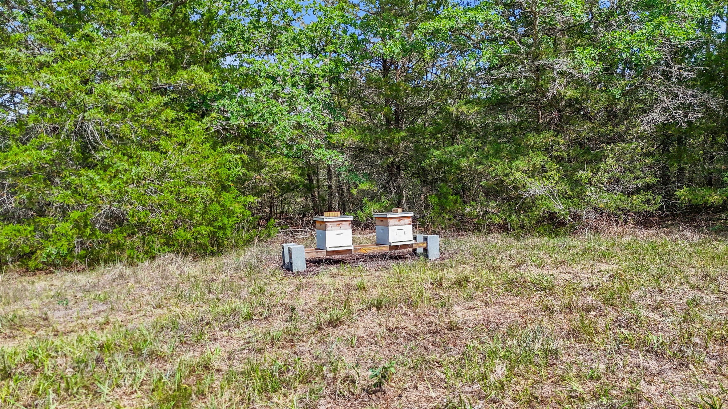 5837 FM 180 Road Ledbetter, TX 78946 - Photo 14 of 16 Property was previously AG exempt for bees. No longer occupied but ready for a new bee family!!