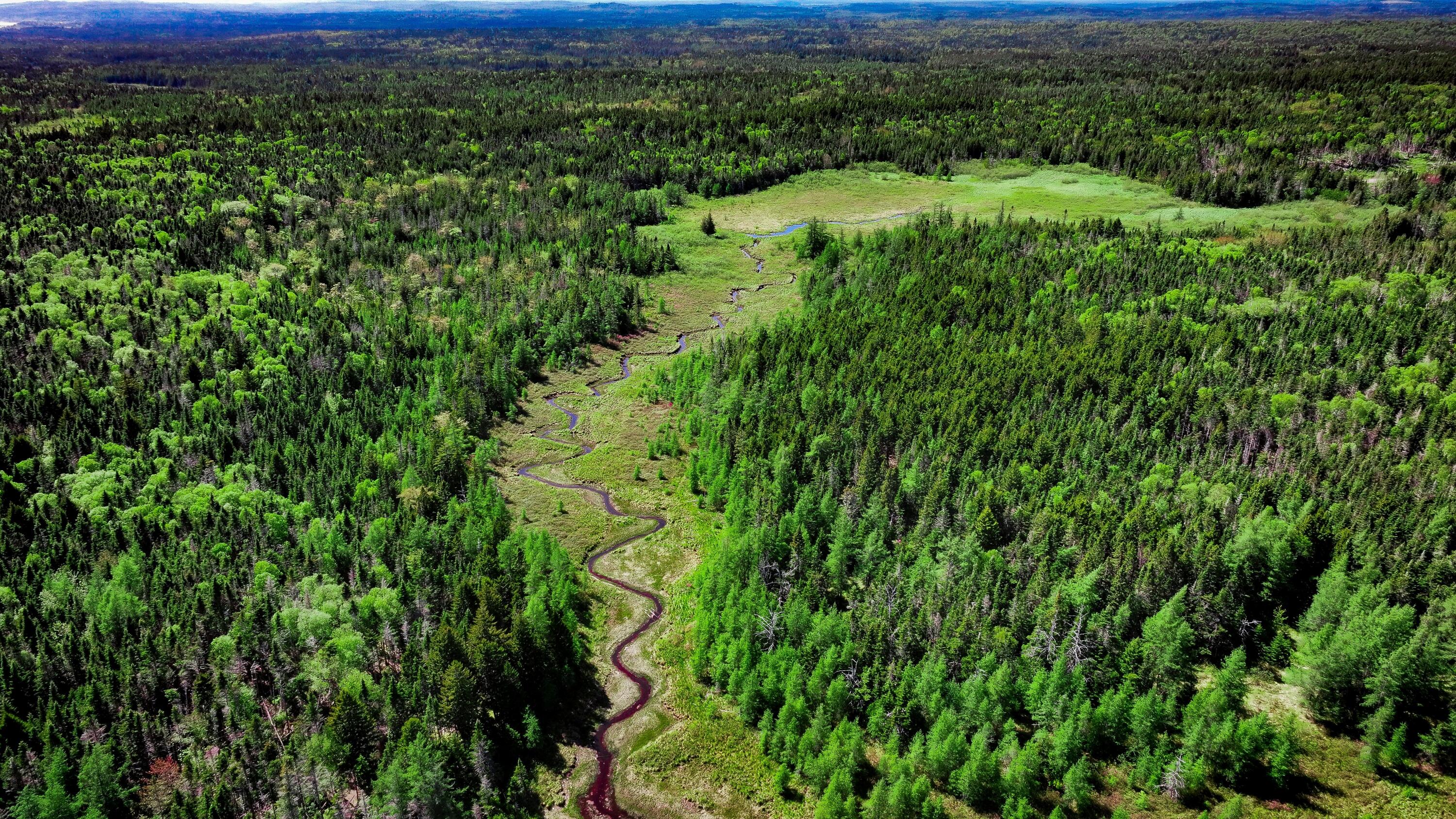 COVER_DJI_20250603151521_0105_D