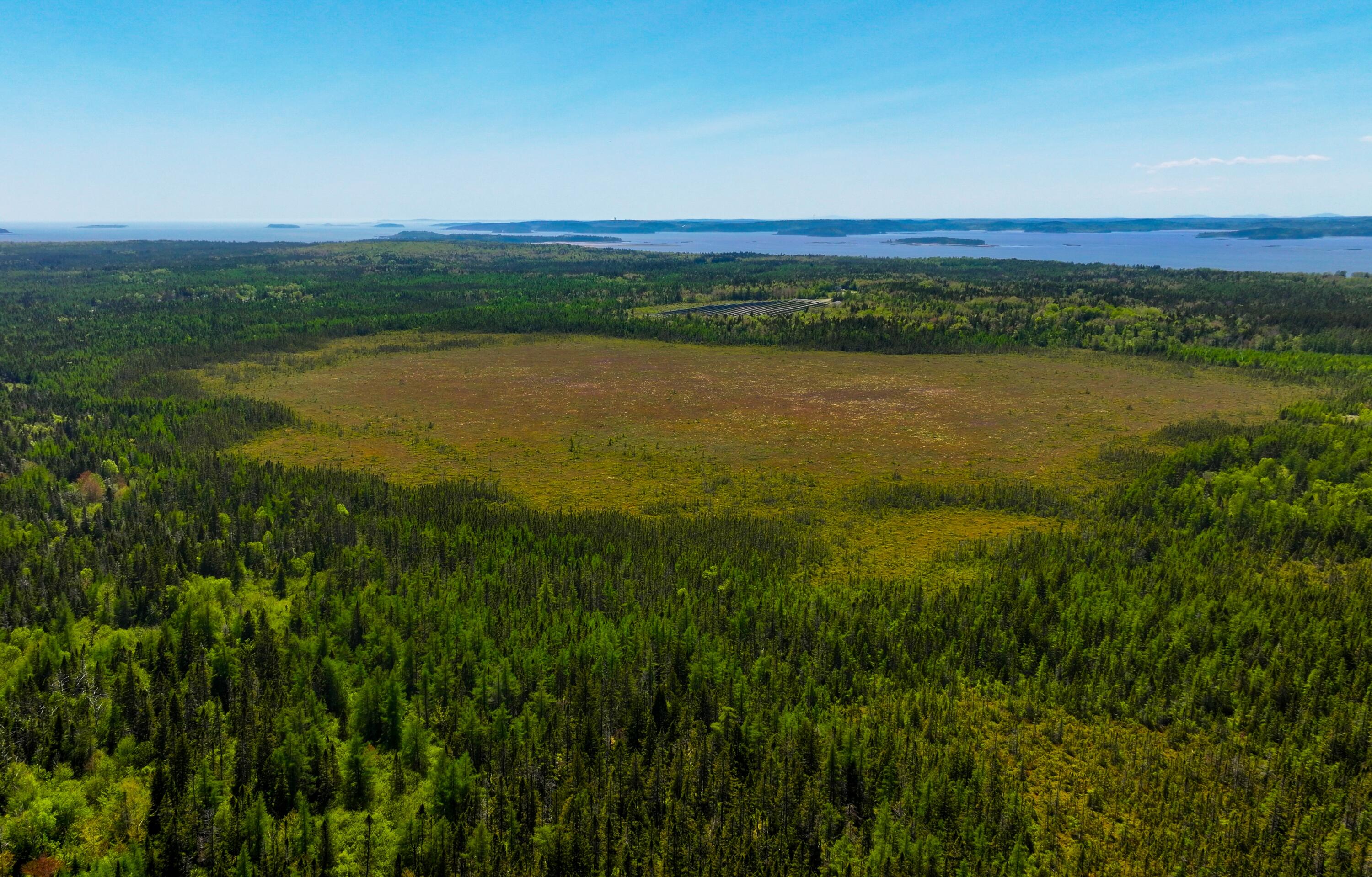 1728 Cutler Road Cutler, ME 04626 - Photo 2 of 3 DJI_20250603140824_0077_D