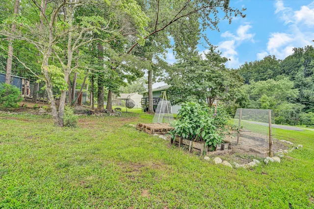 a view of backyard with green space