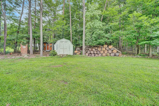 a view of a park with large trees