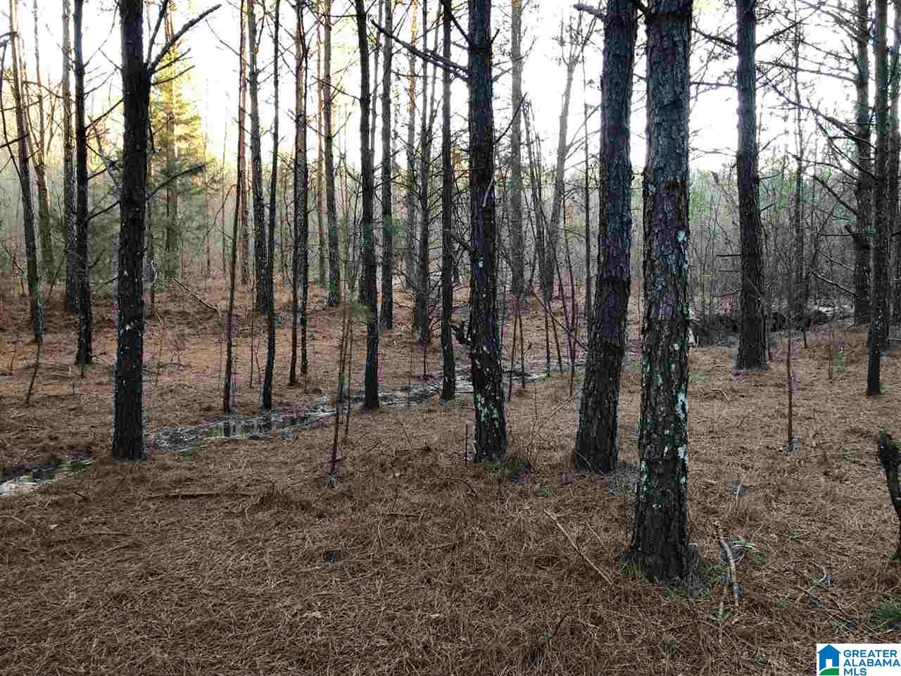 0 Duck Springs Road, Unit 2 PARCELS Attalla, AL 35954 - Photo 17 of 24