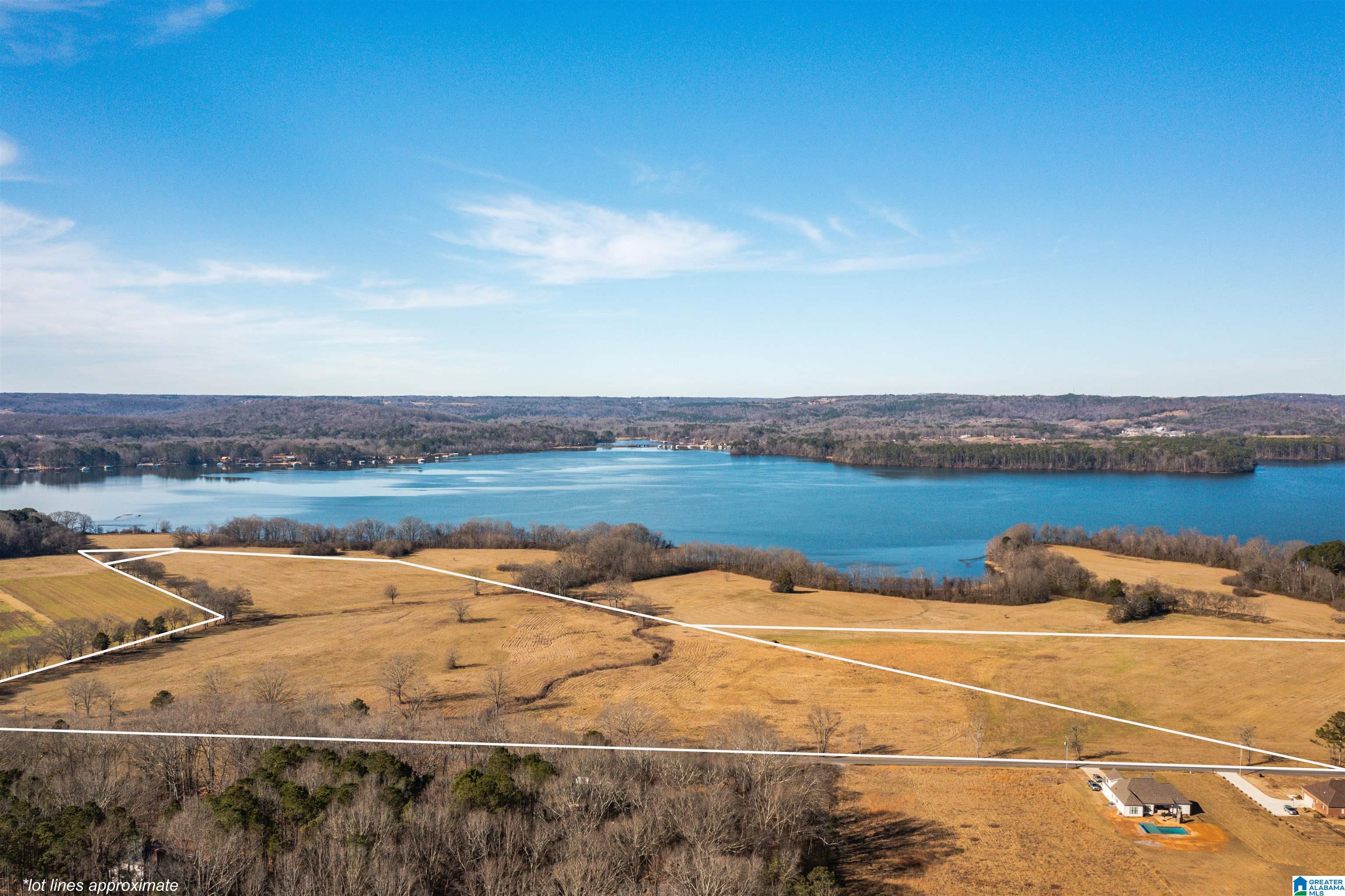 0 Browns Valley Road Guntersville, AL 35976 - Photo 2 of 39