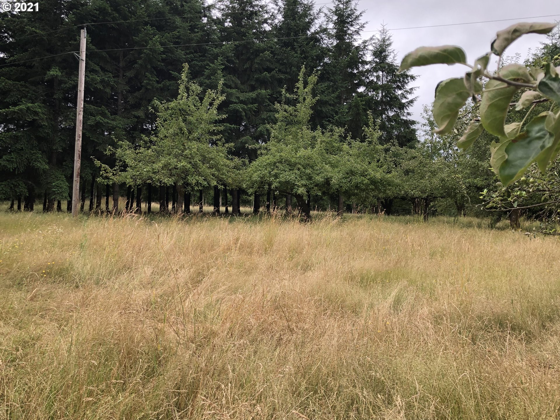 26338 Cory Road Junction City, OR 97448 - Photo 21 of 23 Gallery Image 21