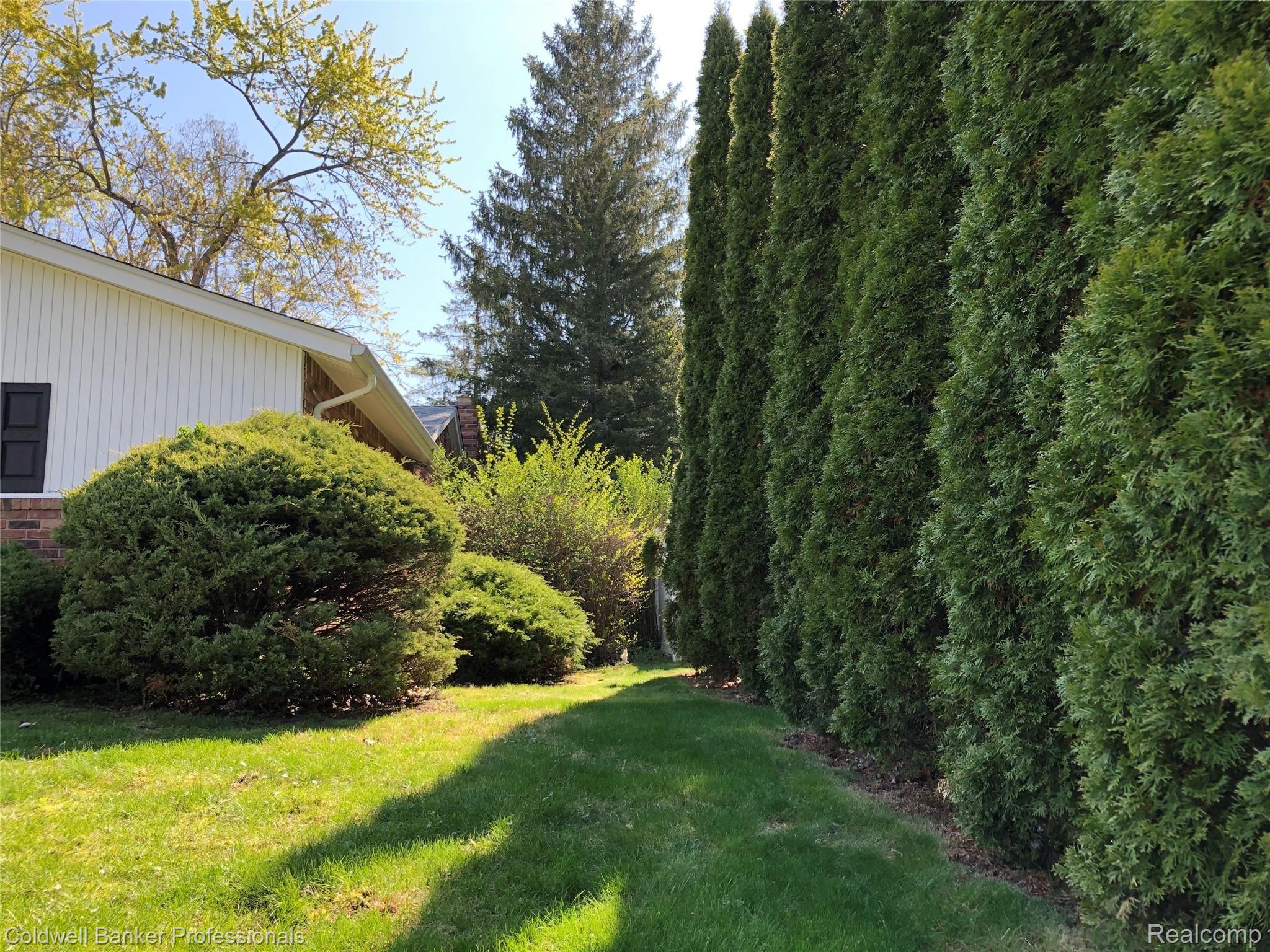 29934 Rambling Road Southfield, MI 48076 - Photo 2 of 11 Side yard privacy!