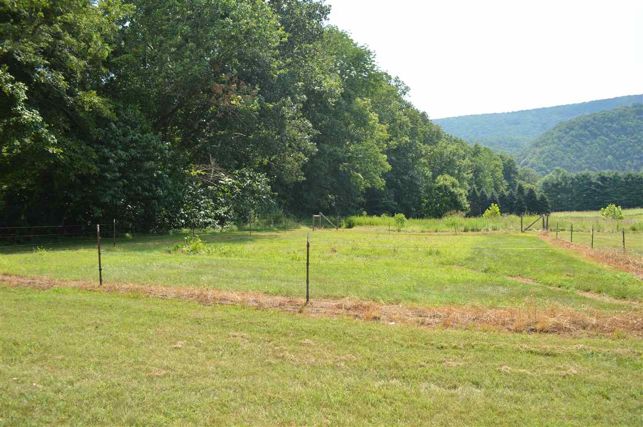 637 Forest View Road Edinburg, VA 22824 - Photo 24 of 40 Gallery Image 24