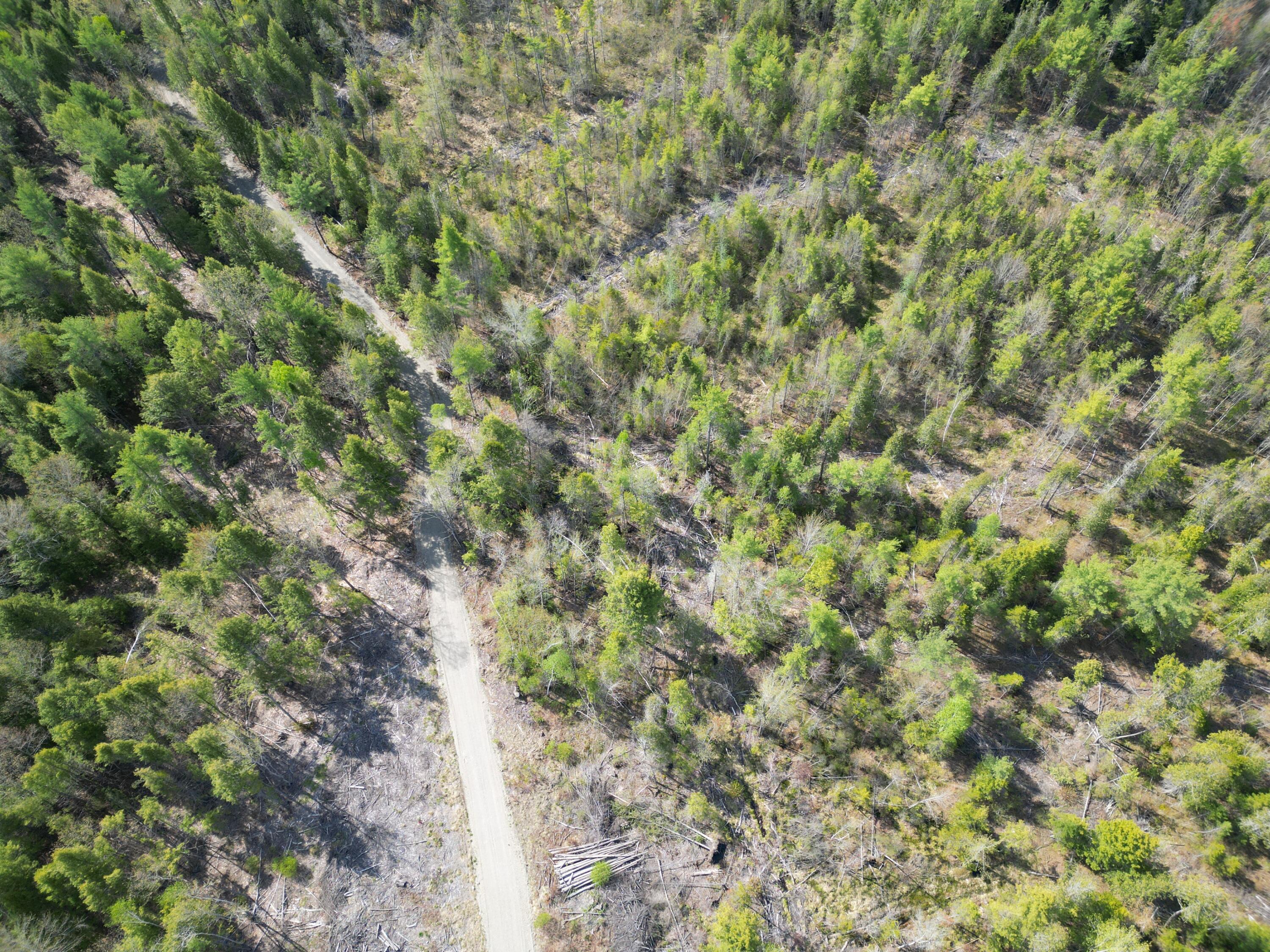 Lot 1 Mattamiscontis Road Howland, ME 04448 - Photo 15 of 15 DJI_0523