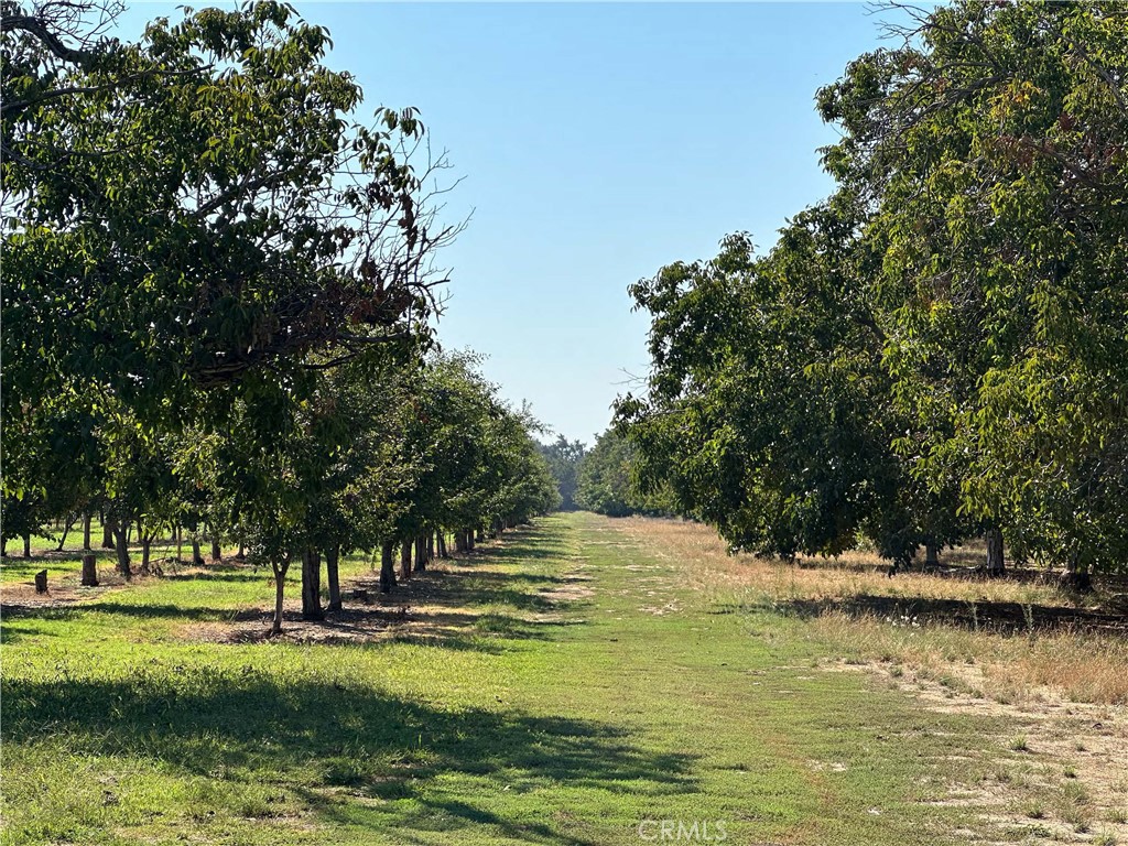24365 Oklahoma Avenue Red Bluff, CA 96080 - Photo 12 of 20 a view of a ocean view