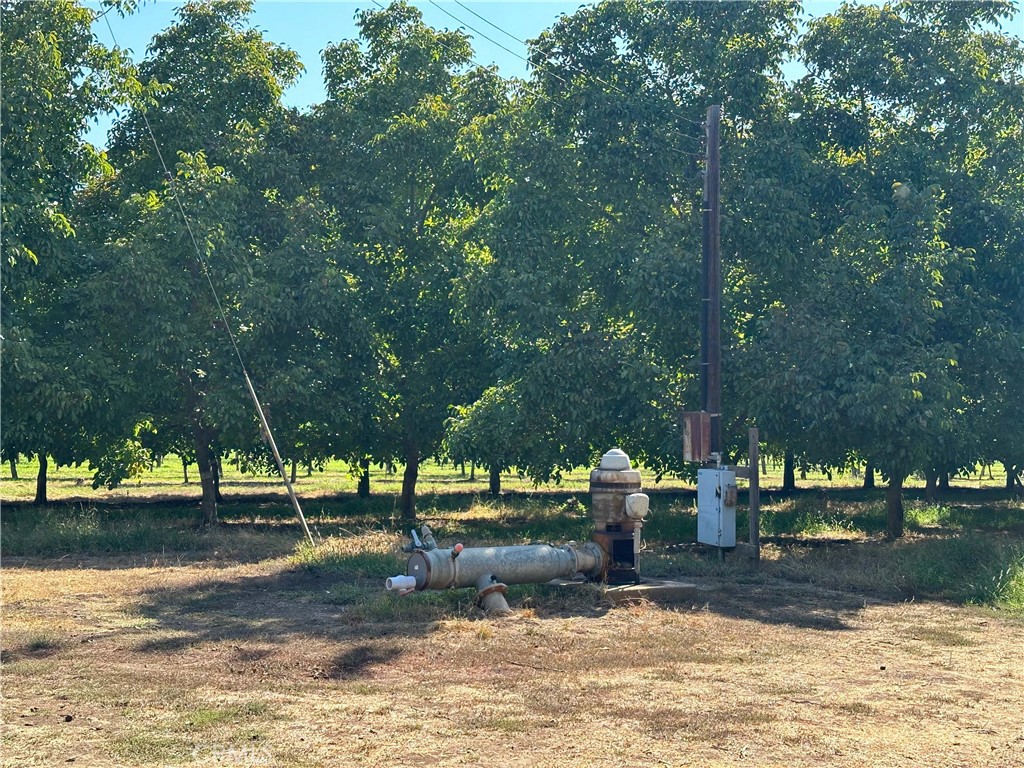 24365 Oklahoma Avenue Red Bluff, CA 96080 - Photo 14 of 20 a view of a park with large trees