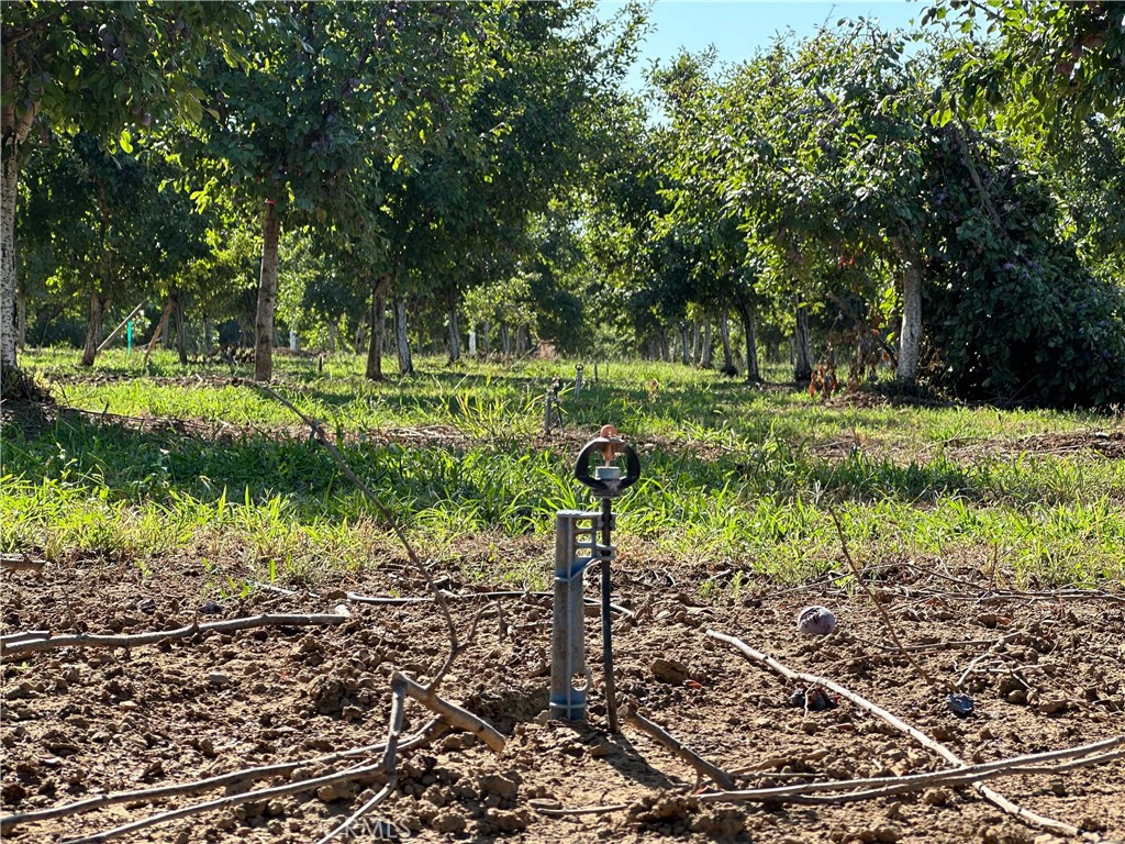24365 Oklahoma Avenue Red Bluff, CA 96080 - Photo 20 of 20 a view of a park with a tree
