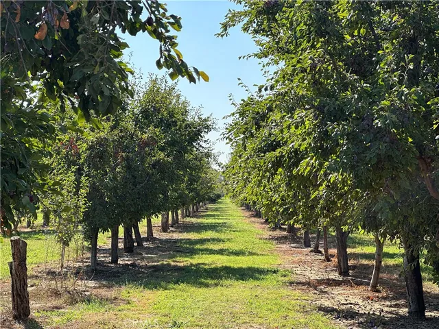 a view of a swimming pool with a bench