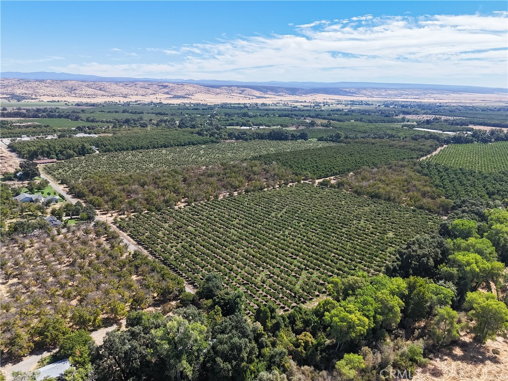 24365 Oklahoma Avenue Red Bluff, CA 96080 - Photo 7 of 20 a view of a lake with a city