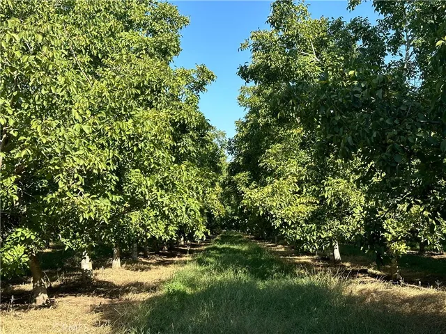 a view of a large yard with lots of green space